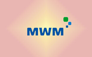 ✓ MWM 0403 3780 Запчасть MWM 